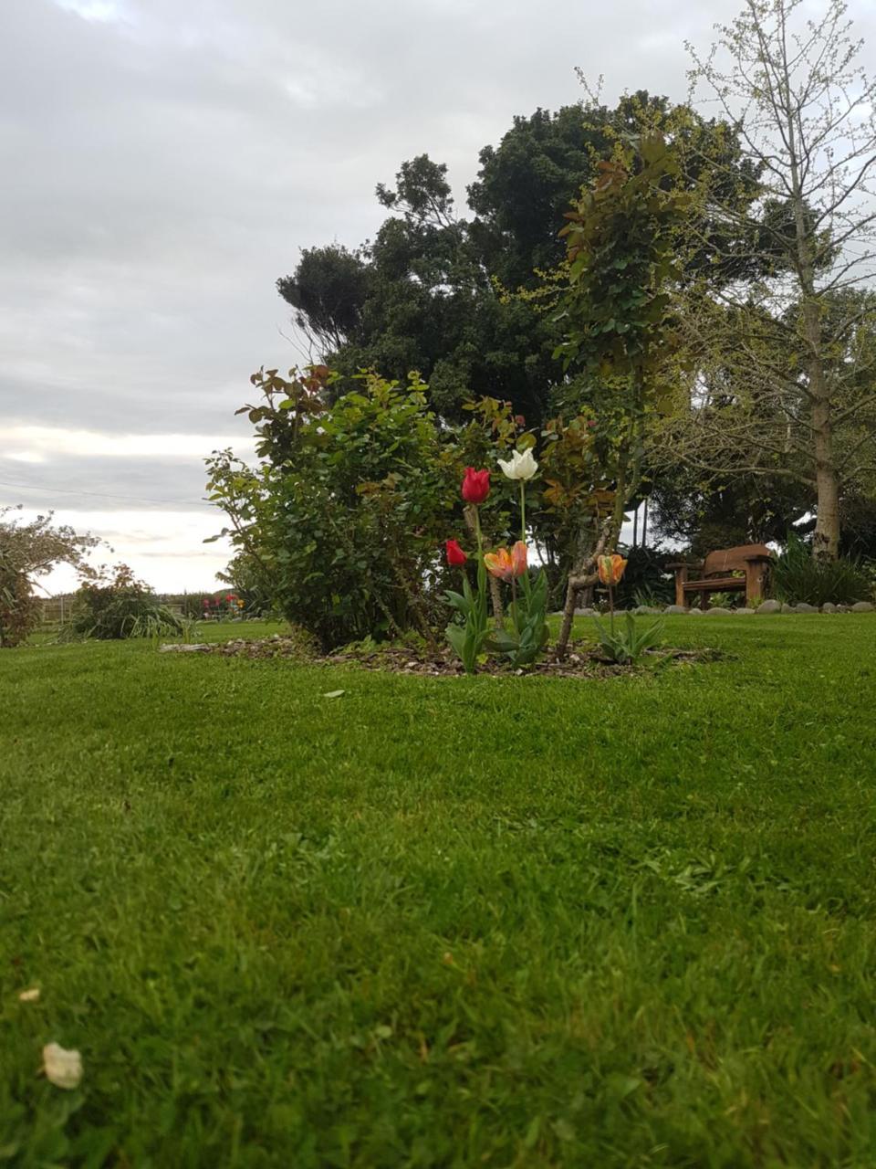 Lancewood Lodge Bulls Kültér fotó